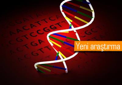 KÜLTÜREL FARKLAR İNSAN DNA’SINA MÜHRÜNÜ VURUYOR